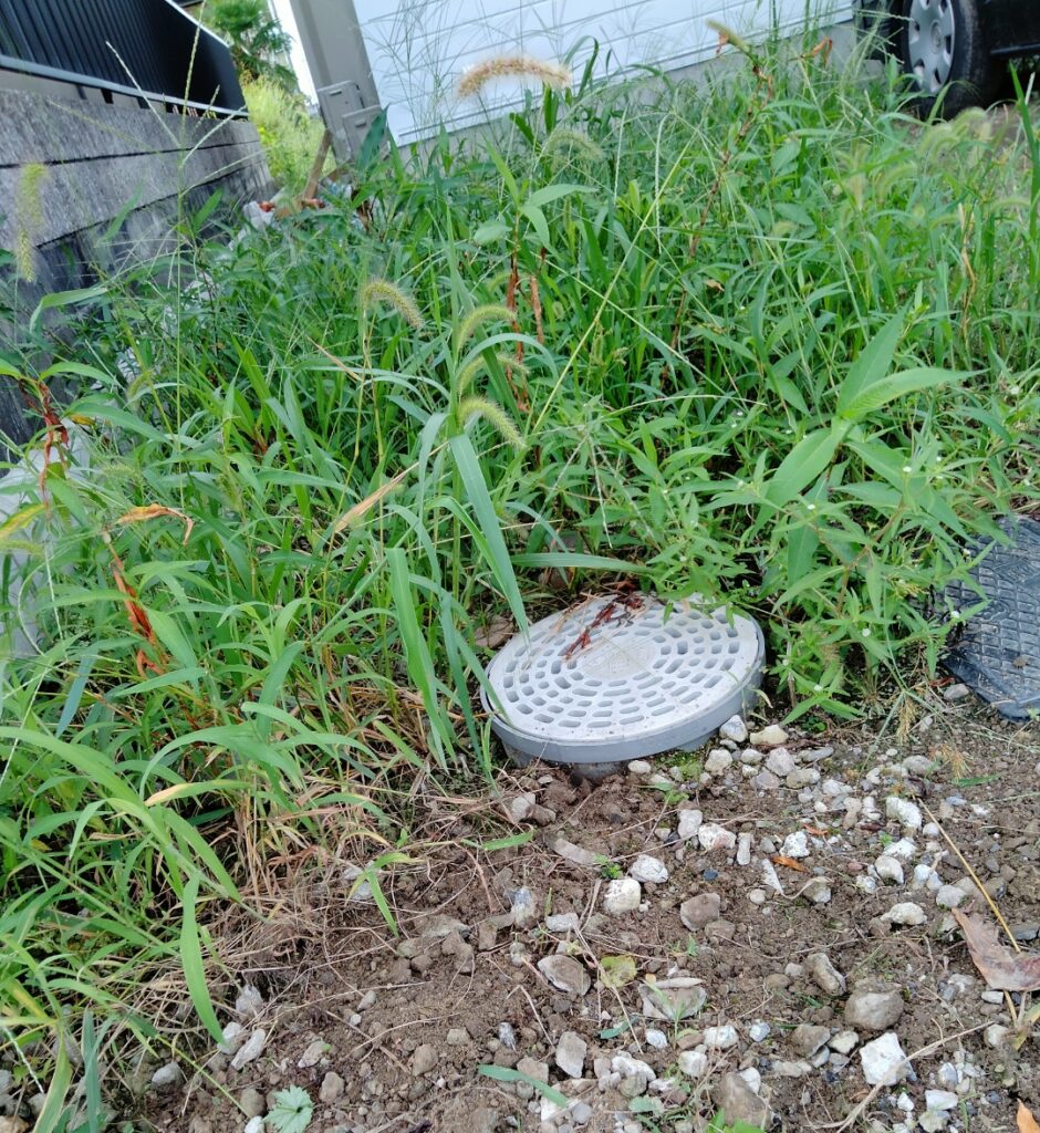 駐車場の整地。草むしりの前。
